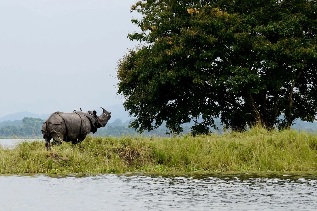 Assam destination